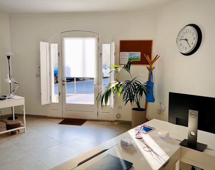 Bright, tidy office workspace with a desk and indoor plants